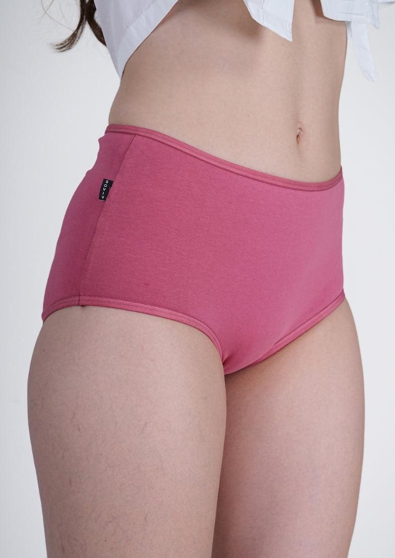 Watermelon Pink High Rise Hipster Panty - SOVIV